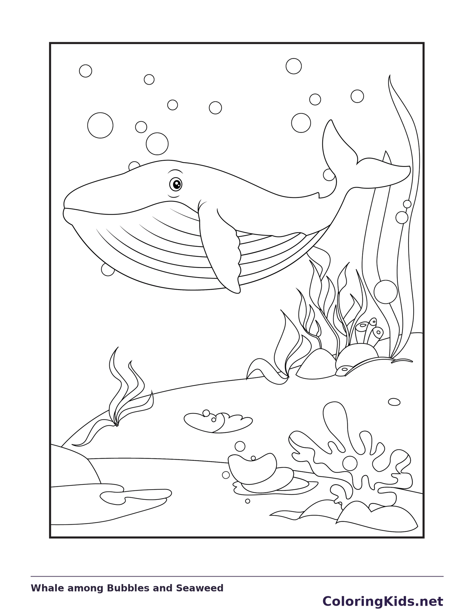 Black and white whale coloring page: a whale moves through bubbles above a seaweed-covered seabed