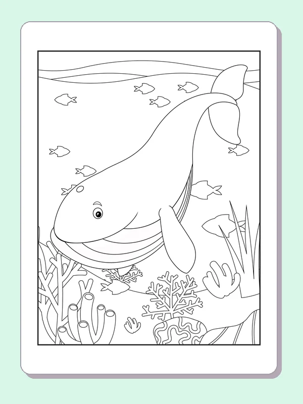 Black and white whale coloring page: a whale turns upward above coral and small fish