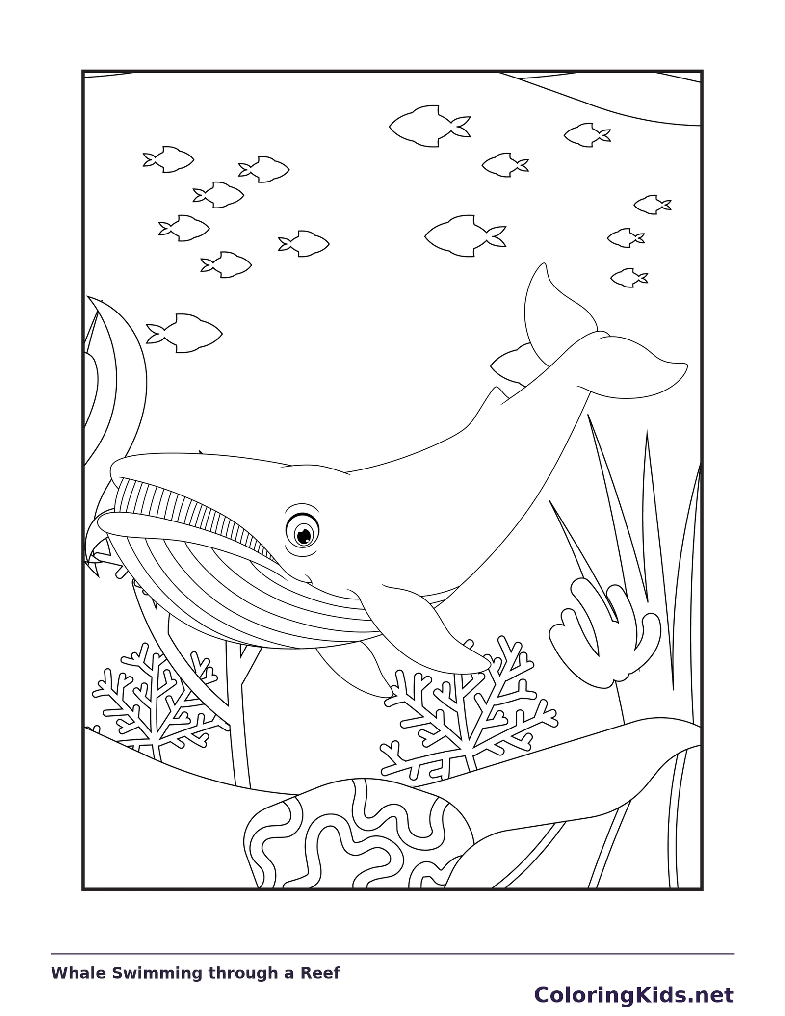 Black and white whale coloring page: a whale passes small fish and branching coral on the seafloor