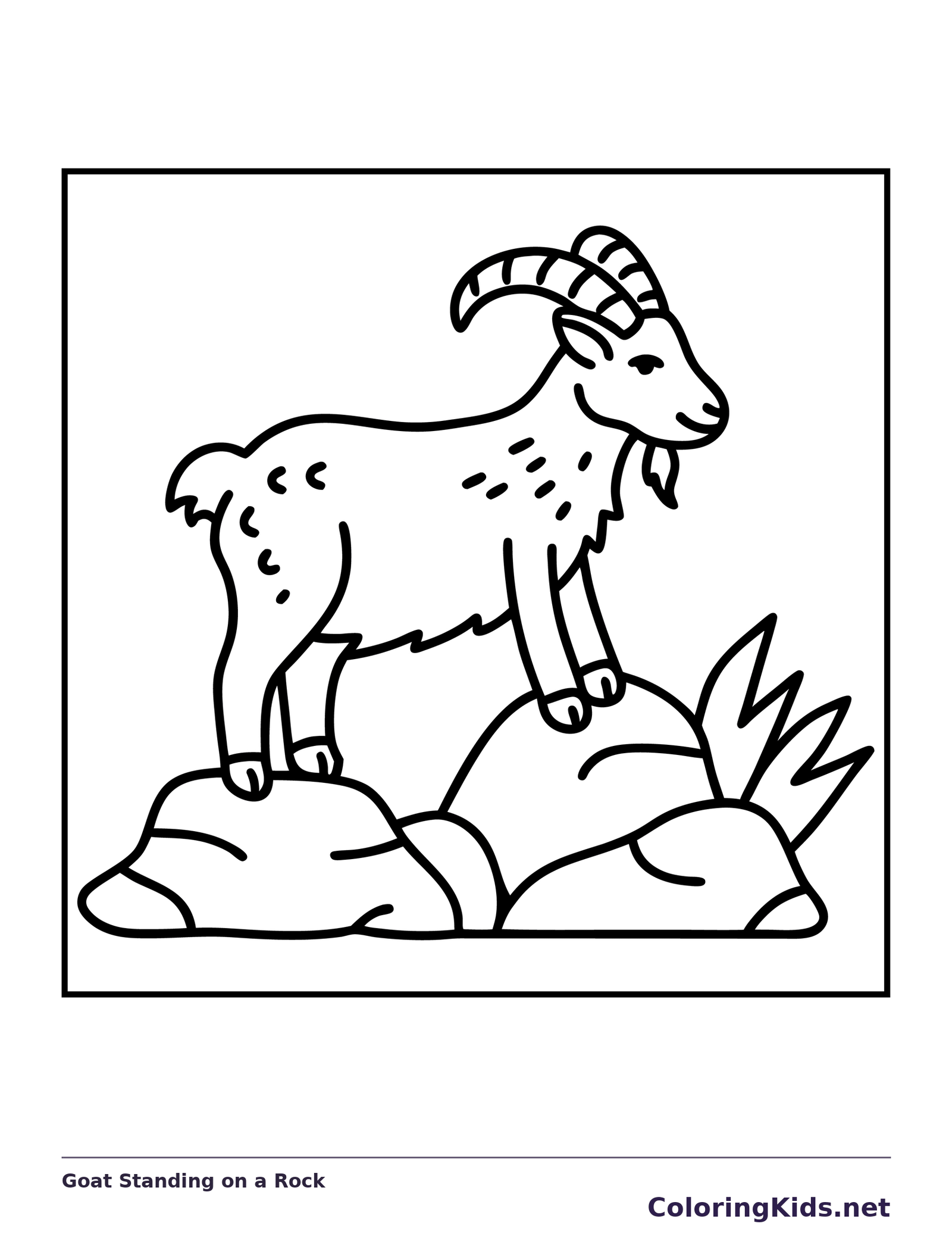 Long-horned goat standing on rocks