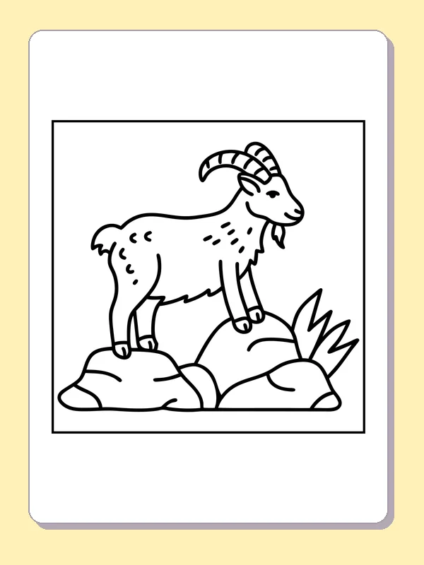 Long-horned goat standing on rocks